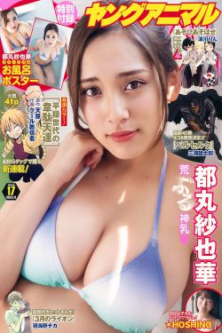 三国演义下载